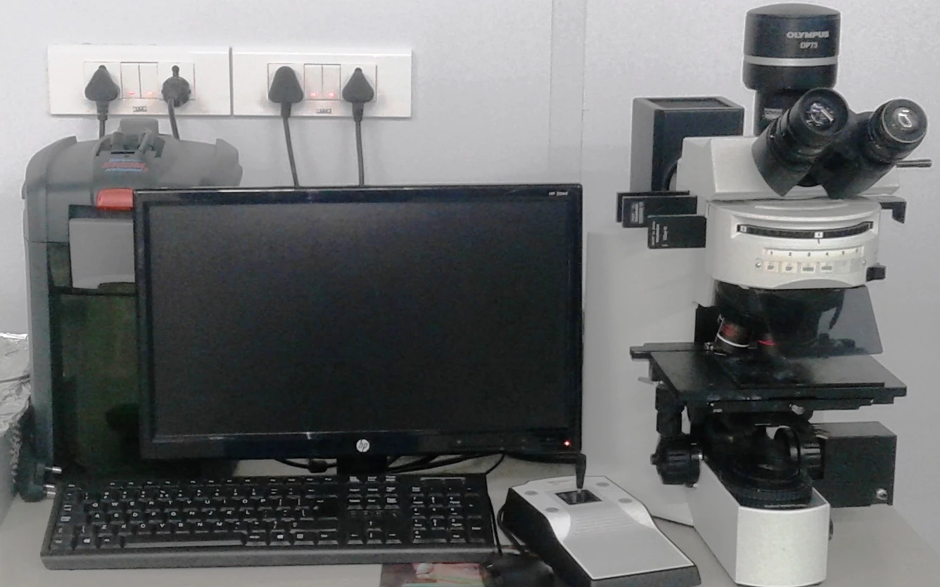 Optical Microscope